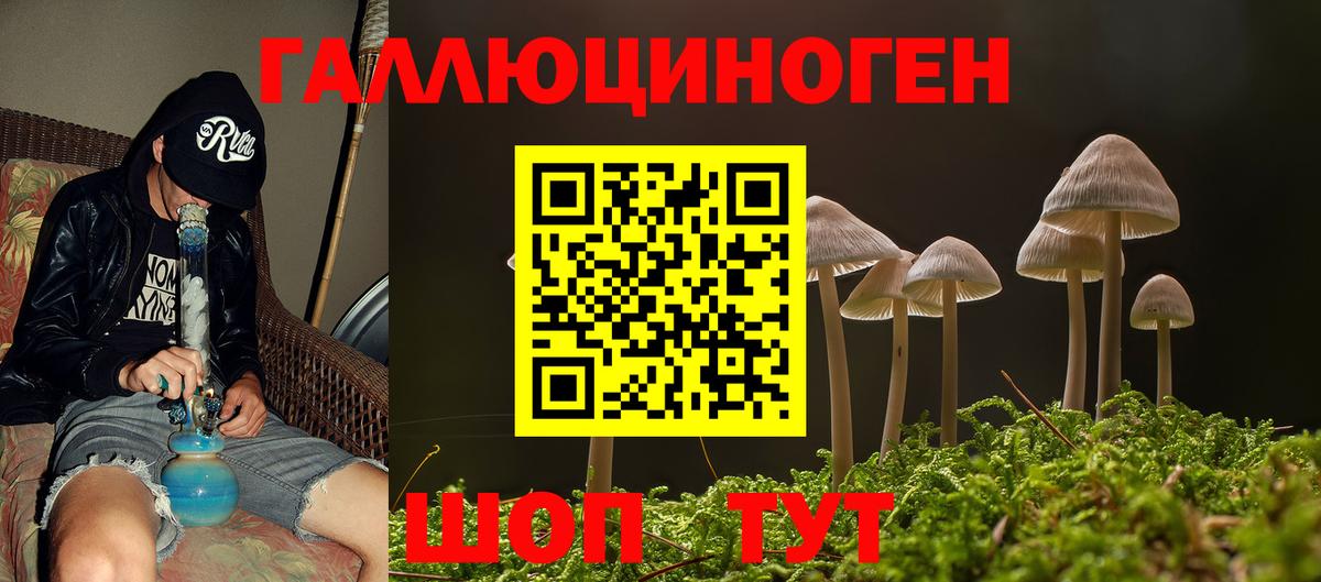 Псилоцибиновые грибы GOLDEN TEACHER Алатырь