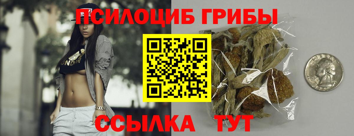 Алатырь  Галлюциногенные грибы Psilocybe  Галлюциногенные грибы Magic Shrooms  Вход с VPN 